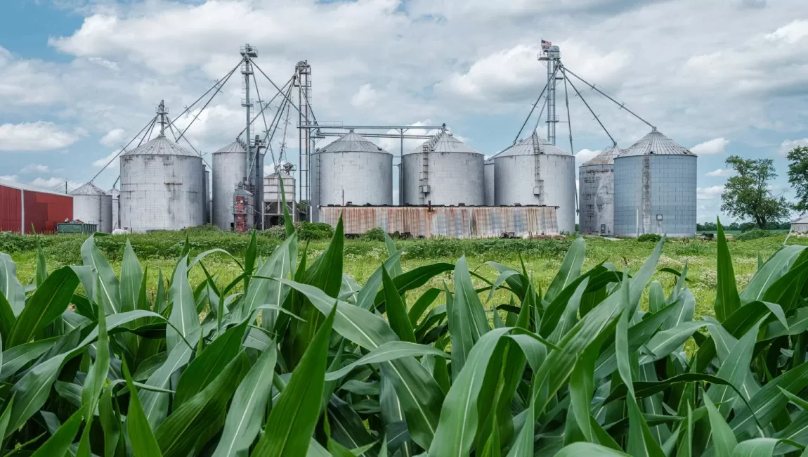 Protective coatings for tanks and silos
